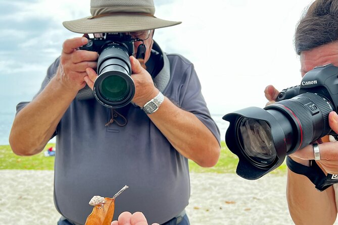 Private excursion to Moorea, photo tour & immersive discovery - Belvedere Lookout and Moorea’s volcanic center