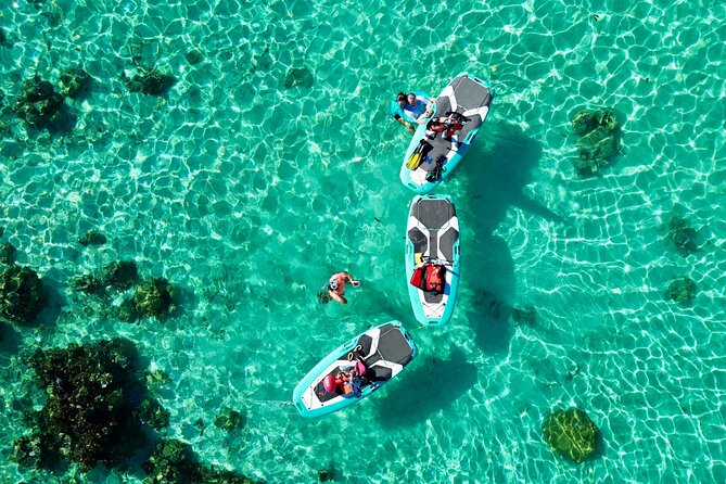 Private Excursion with E-Board in Moorea with snorkeling - What is included, and what you need to bring