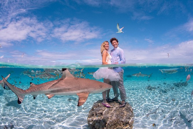 Private Full Day Aquatic Photo Tour + Resort Photo-Shoot (All inclusive) - Key points to know