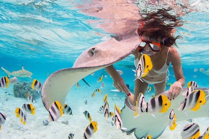 Private Full Day Aquatic Photo Tour + Resort Photo-Shoot (All inclusive) - The resort session comes first