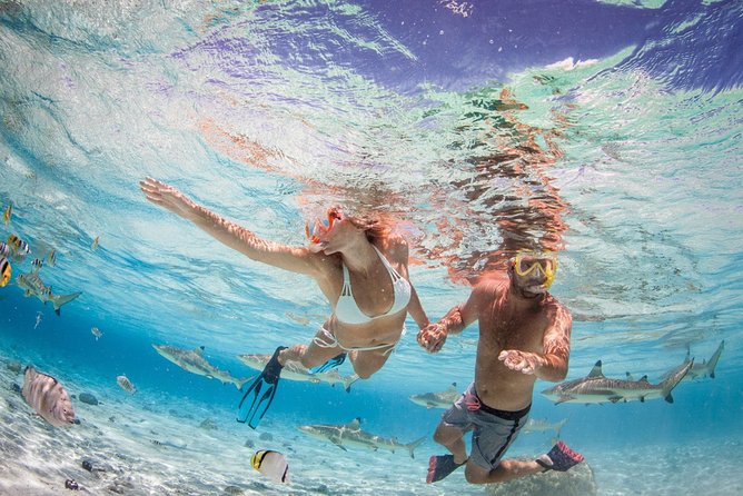 Private Full Day Aquatic Photo Tour + Resort Photo-Shoot (All inclusive) - Above the surface, at the waterline, and underwater