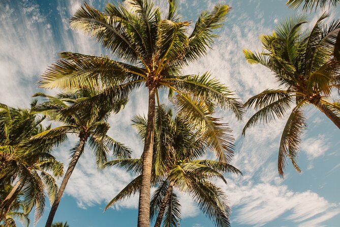 Private Full-Day Lagoon Adventure in Bora Bora with BBQ Lunch - A 12:30 Polynesian lunch on a private motu