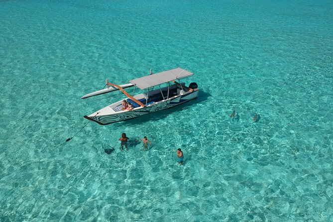 Private Full-Day Lagoon Adventure in Bora Bora with BBQ Lunch - The coral garden makes a strong first stop