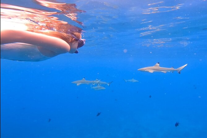 Private Full Day Lagoon Safari and Lunch on a Motu in Bora Bora - Who will get the most from this outing