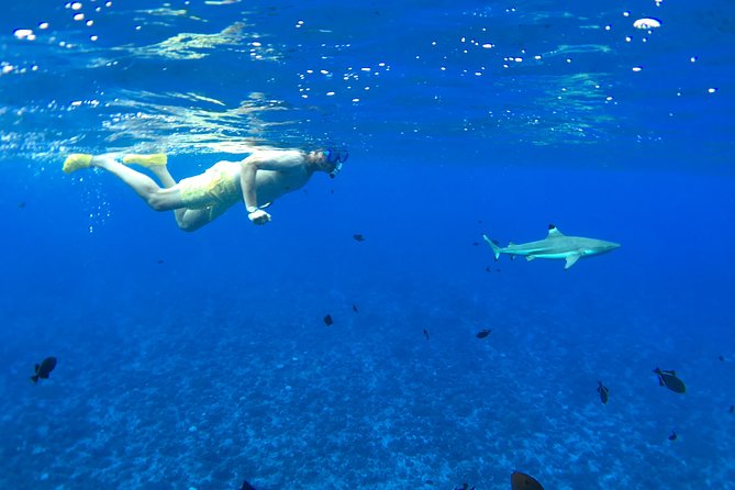 PRIVATE FULL DAY LAGOON TOUR - Bora Bora Cultural Lagoon Tour - A private canoe day on Bora Bora’s lagoon