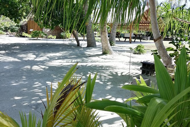 PRIVATE FULL DAY LAGOON TOUR - Bora Bora Cultural Lagoon Tour - Coral gardens and the first look beneath the surface