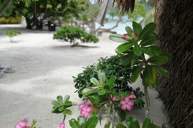 PRIVATE FULL DAY LAGOON TOUR - Bora Bora Cultural Lagoon Tour - The canoe, the outrigger net, and the pace of the morning