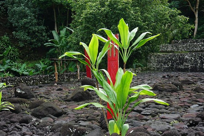 Private Full-Day Tahiti — Grotto, Gardens & Panoramas - Lunch near Papeari is a useful pause