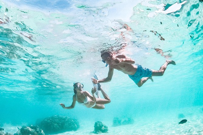 PRIVATE Full Day Tour : Moorea Snorkeling & Sailing on a Catamaran named Taboo - Timing, cancellation, and practical planning