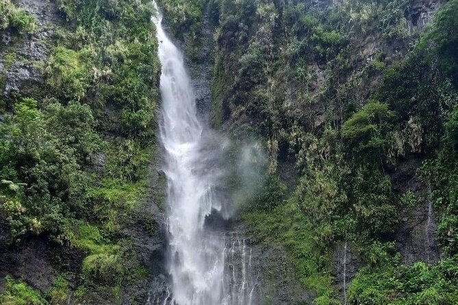 Private Full Day Tour of Tahiti - Vairao: a local tradition with sacred eels