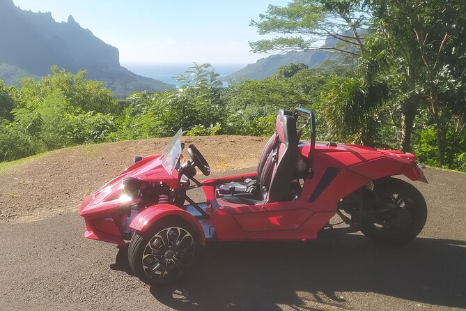 Private Guided Tour around the Moorea Island - Key points to know before you book