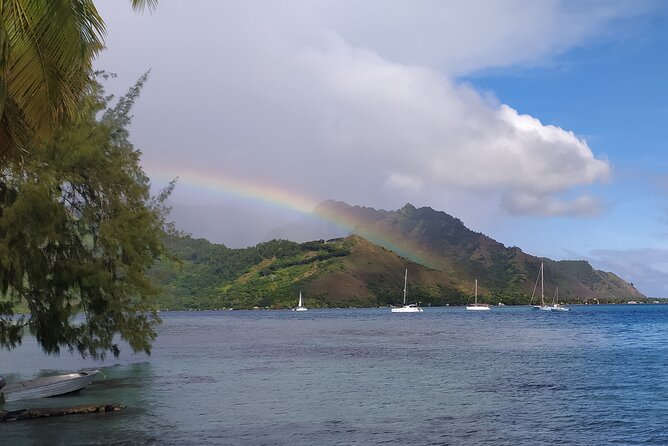 Private Guided Tour around the Moorea Island - Temae and the view toward Tahiti