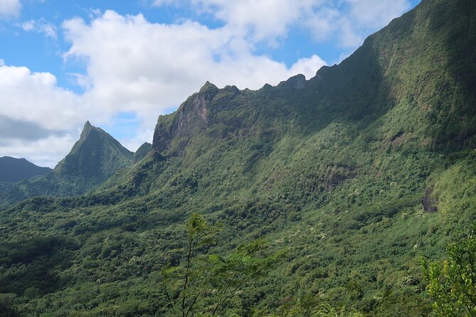 Private Half-Day Hike in the Opunohu Valley in Moorea - Learning the plants without rushing past them