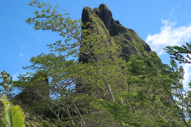 Private Half-Day Hike in the Opunohu Valley in Moorea - The climb to the Col des 3 Cocotiers and the 3 Pinus