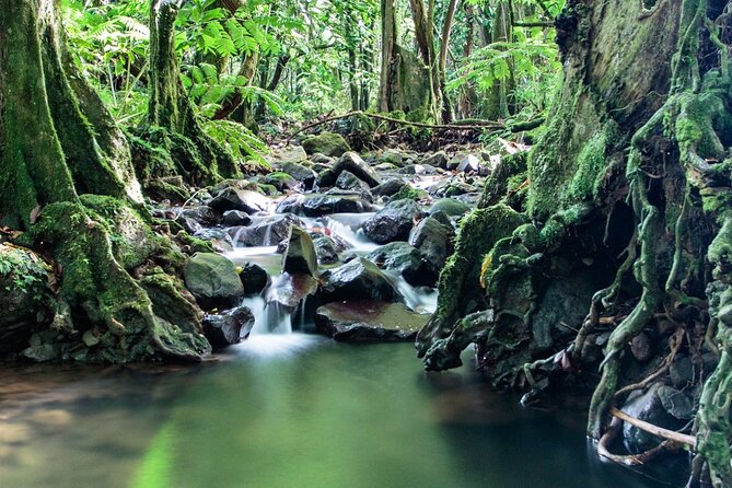 Private Half-Day Hike in the Opunohu Valley in Moorea - Who will enjoy this hike most