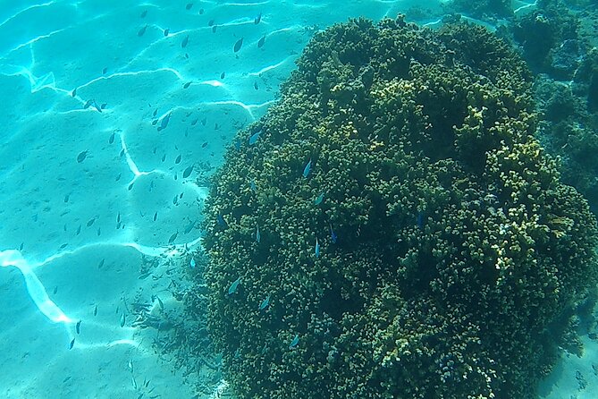 Private Half Day Sailing Excursion on the Lagoon of Tahiti - Who will enjoy this most