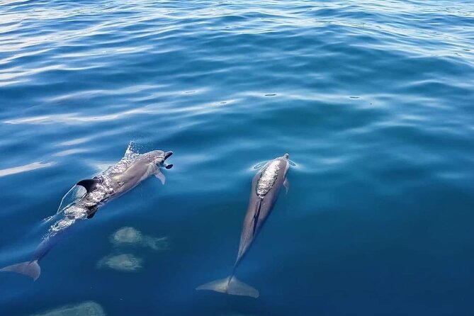 Private Half Day Sailing Excursion on the Lagoon of Tahiti - How the price compares with the experience