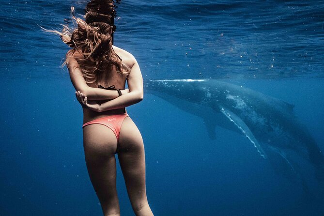 Private Half Day Whale Watching Tour - What happens on the boat