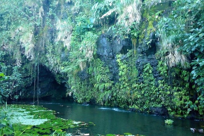 Private Island Tour ( 5 HOURS) - Faarumai Waterfalls through Tiarei
