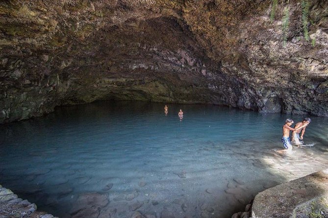 Private Island Tour ( 5 HOURS) - Vaipahi Water Gardens and tropical plant life