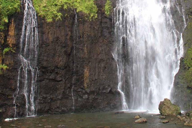 Private Island Tour ( 5 HOURS) - The guides shape the day