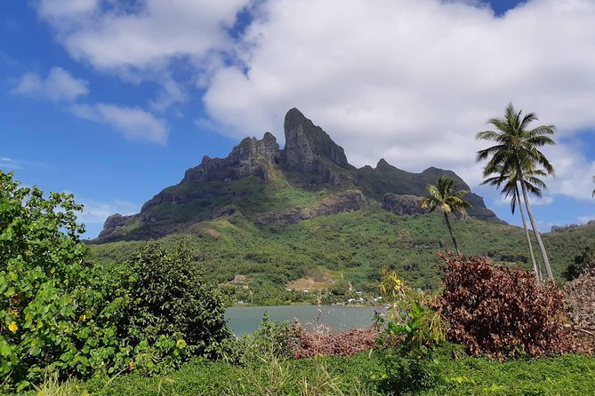 Private Island Tour by ATV / QUAD - Starting at 9:00 am with a private guide