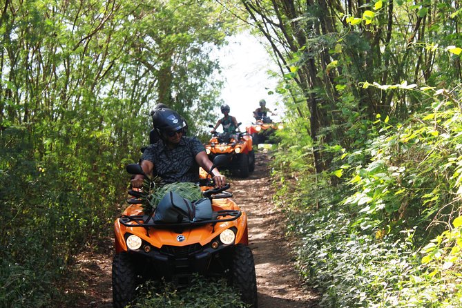 Private Island Tour by ATV / QUAD - What the private price really means