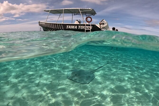 Private Lagoon Exploration and Snorkeling in Moorea - Tama’s local connection