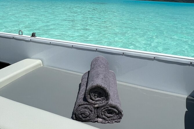 Private Lagoon Tour on a Prestigious Pontoon Boat in Bora Bora - What is included on the pontoon