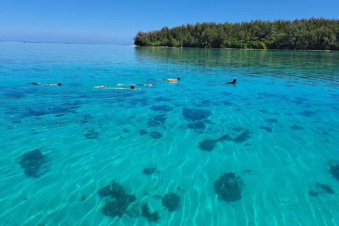 Private Marine Excursion and snorkeling in the lagoon of Moorea - A private boat changes the Moorea experience