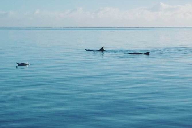 Private Marine Excursion and snorkeling in the lagoon of Moorea - Who should book this Moorea excursion?