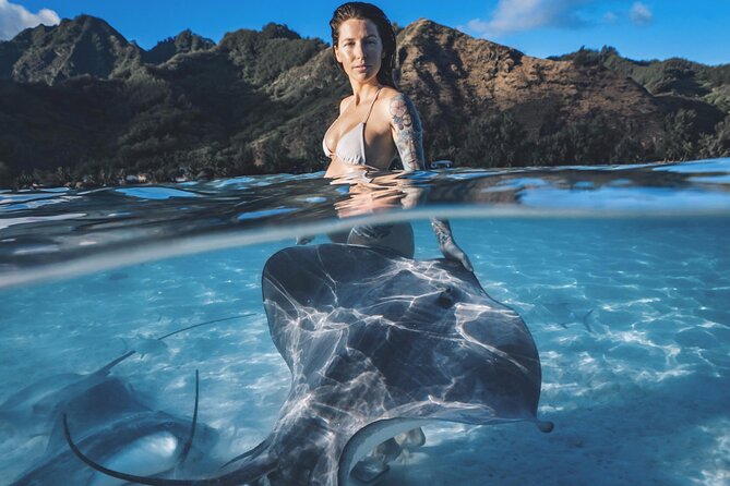 Private Marine Wildlife Adventure with Underwater Photography - Key points to know before you book
