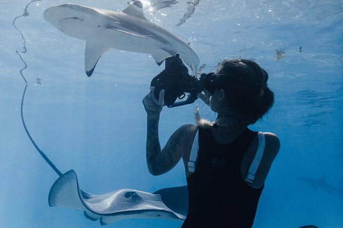 Private Marine Wildlife Adventure with Underwater Photography - Meeting at Tiahura and what to bring