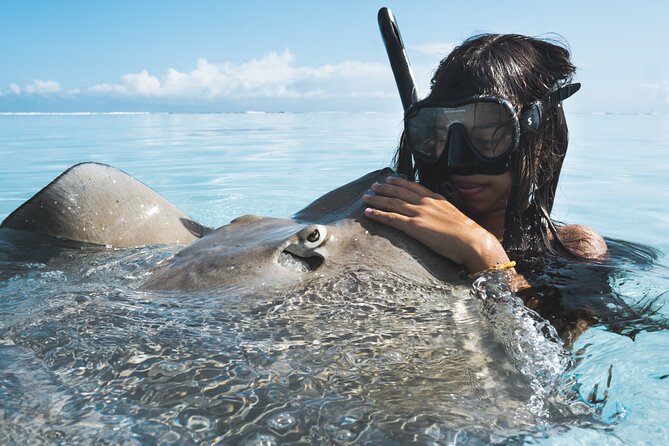 Private Marine Wildlife Adventure with Underwater Photography - What the underwater photography package is really worth