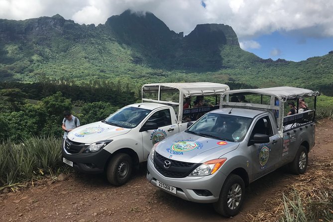 Private Morning Moorea 4WD Tour with Champagne - The Distillery Tasting and Champagne Finish