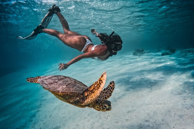 Private Rarotonga Turtle Tour - The safety briefing is part of the value