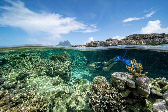 Private Reef Discovery Luxury Dream Day Tour in Bora Bora - What the Private Format Is Worth for Two