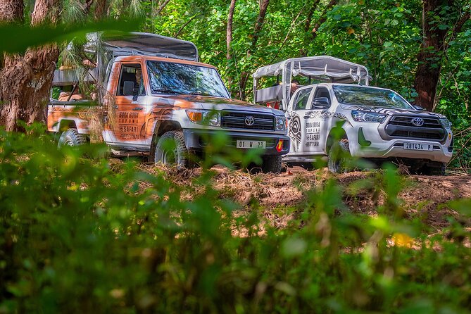 Private Safari Adventure Tour in Bora Bora with Local Guide - Drinks, fruit, and what you need to arrange