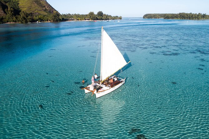 Private sailing adventure - Turtles, dolphins, whales, and lucky moments