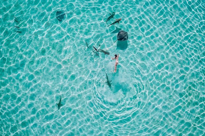 PRIVATE Sunset Tour: Moorea Snorkeling on a Catamaran named Taboo - Sailing Along Moorea’s Lagoon and Coast