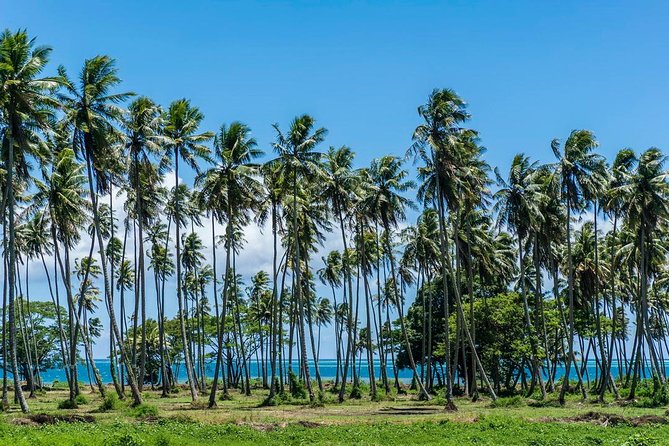 Private Tahiti Circle Island - Waterfalls, Black Sand & Views - Maraa Grotto and Tahiti’s volcanic character