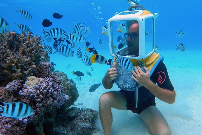Private Tour: Aqua Safari Scuba Diving - Walking through Bora Bora’s coral garden