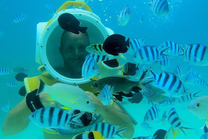 Private Tour: Aqua Safari Scuba Diving - Why private service changes the value