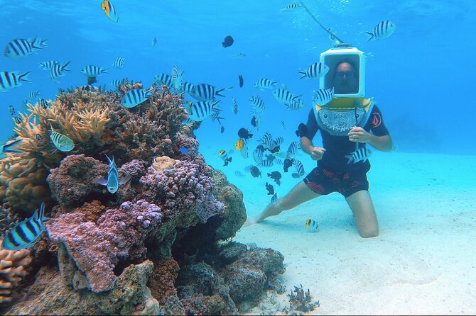 Private Tour: Aqua Safari Scuba Diving - Safety, confidence, and the beginner question