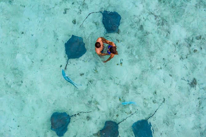 Private Tour: Bora Bora Lagoon Eco Snorkel Cruise - 3hrs or 6hrs - What the six-hour tour adds