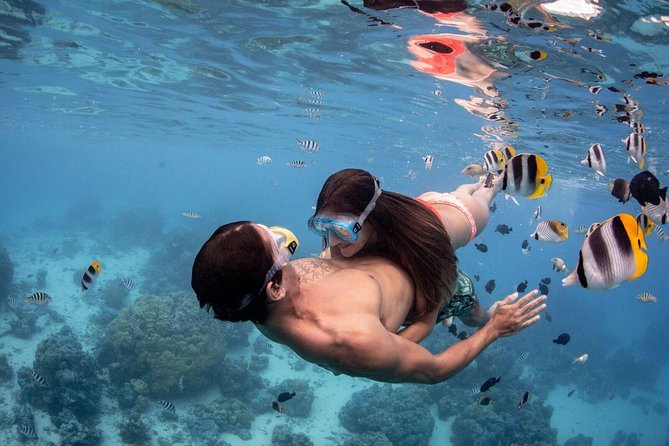 Private Tour: Bora Bora Lagoon Eco Snorkel Cruise - 3hrs or 6hrs - Is $346.08 per person good value?