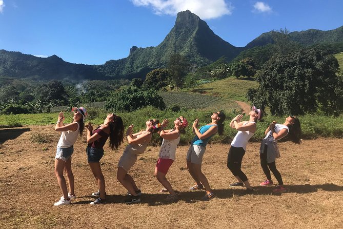 Private Tour Moorea 4WD - Belvedere Pineapple Farm, Magic Mount. - Magic Mountain is the visual high point