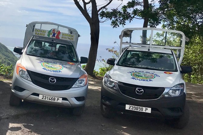 Private Tour Moorea 4WD - Belvedere Pineapple Farm, Magic Mount. - Pineapple fields show Moorea beyond the resorts