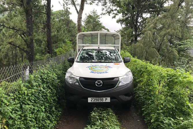 Private Tour Moorea 4WD - Belvedere Pineapple Farm, Magic Mount. - Timing, comfort, and practical details