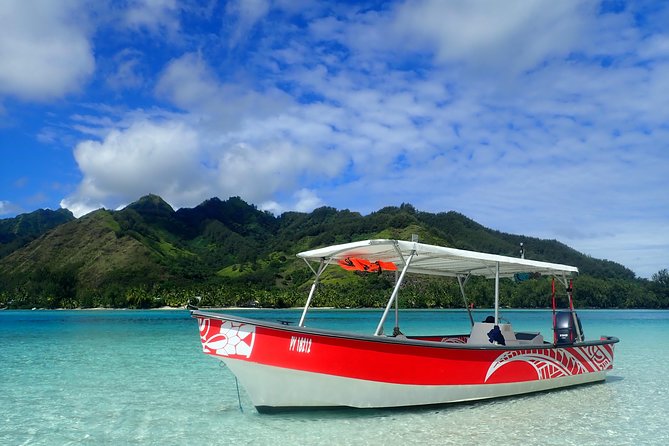 Private tour observing and swimming with humpback whales in Moorea - Guides Who Put Safety Before Speed